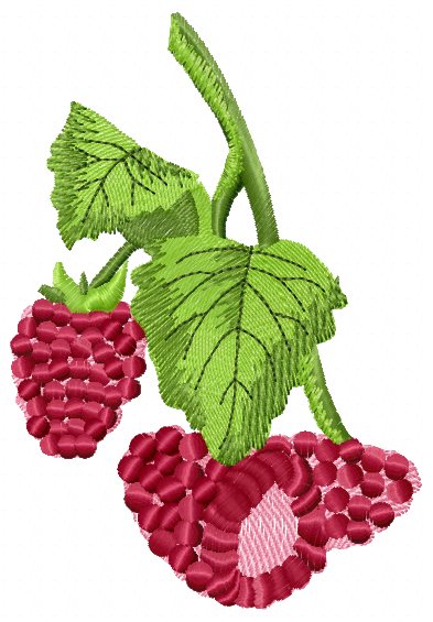 Raspberries free embroidery