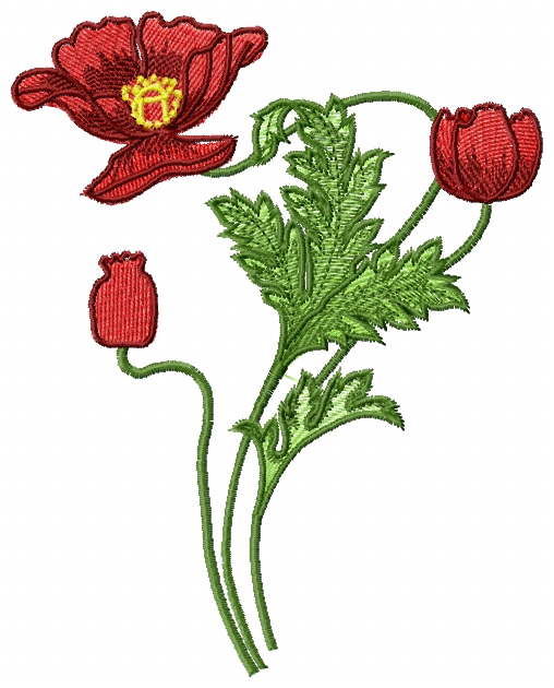 Poppy free embroidery - Free embroidery designs links and download ...