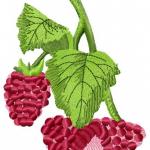 More information about "Raspberries free embroidery"