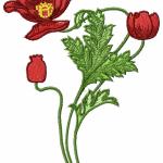 More information about "Poppy free embroidery"