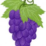 More information about "Grape free embroidery design"