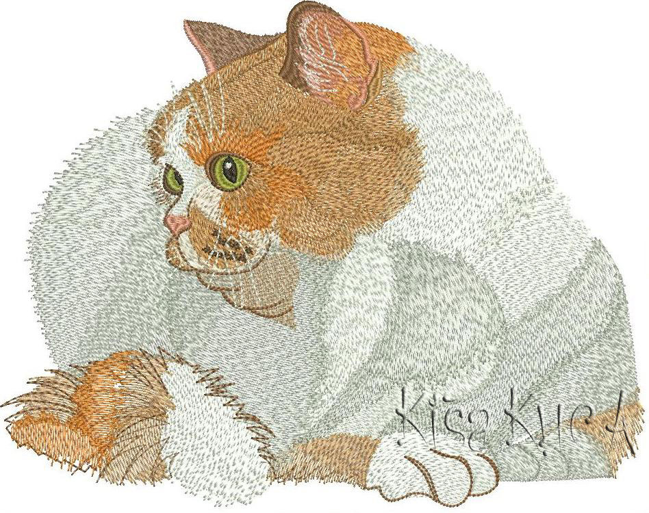 Very cute home cat free embroidery design