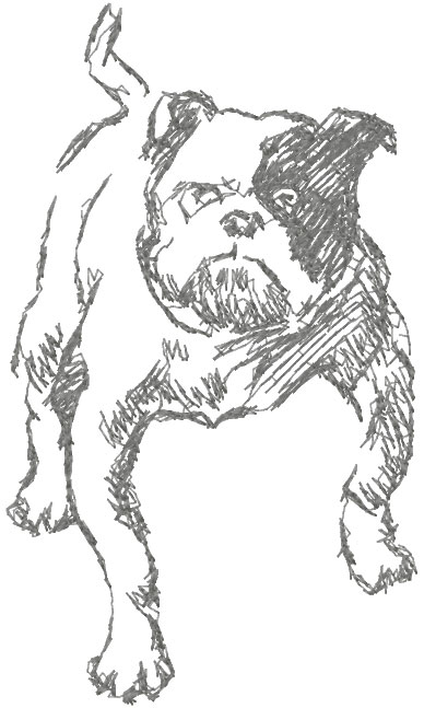 Aggressive dog free embroidery design