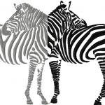 More information about "Showcase Your Creativity with the Zebra Free Embroidery Design"