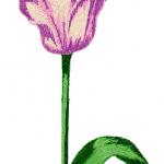 More information about "Tulip free embroidery design 3"