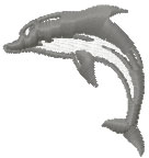 Dolphin free embroidery design