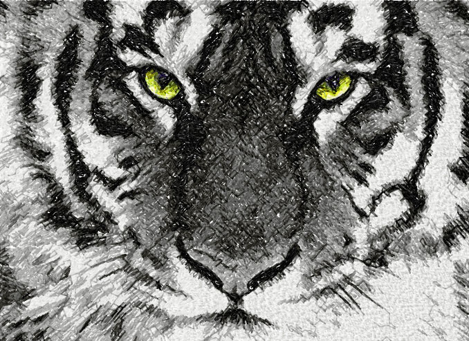 Tiger photo stitch free embroidery design