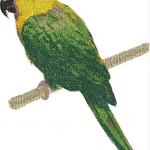 More information about "Yellow Green Parrot photo stitch free embroidery design"