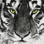 More information about "Tiger photo stitch free embroidery design"