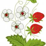 More information about "Strawberry free embroidery"