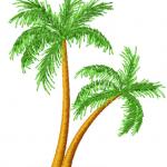 More information about "Palm tree free embroidery design"