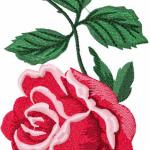 More information about "Red rose free embroidery design"