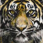 More information about "Tiger photo stitch free embroidery design 2"