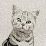 More information about "Grey cat photo stitch free embroidery design"