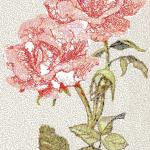 More information about "Big red rose photo stitch free embroidery design"