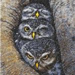 More information about "Cute small owls photo stitch free embroidery design"