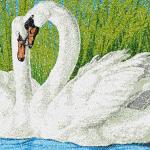 More information about "Two swans photo stitch free embroidery design"