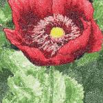 More information about "Poppies photo stitch free embroidery design 2"