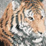 More information about "Tiger photo stitch free embroidery design 3"