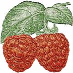 More information about "Raspberries photo stitch free embroidery design"