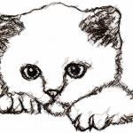 More information about "Cat photo stitch free embroidery design 2"