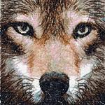 More information about "Wolf photo stitch free embroidery design 2"