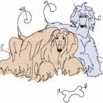 More information about "Afghan Hound free embroidery design"