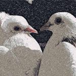 More information about "Two doves photo stitch free embroidery"