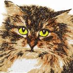 More information about "Cut cat photo stitch free embrodiery design"