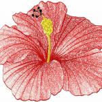 More information about "Hibiscus photo stitch free embroidery design 2"