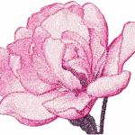 More information about "Pion photo stitch free embroidery design"