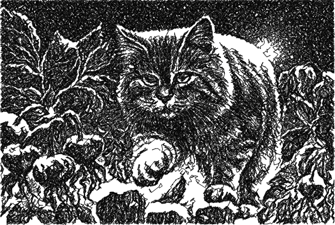 Black and white cat photo stitch free embroidery design