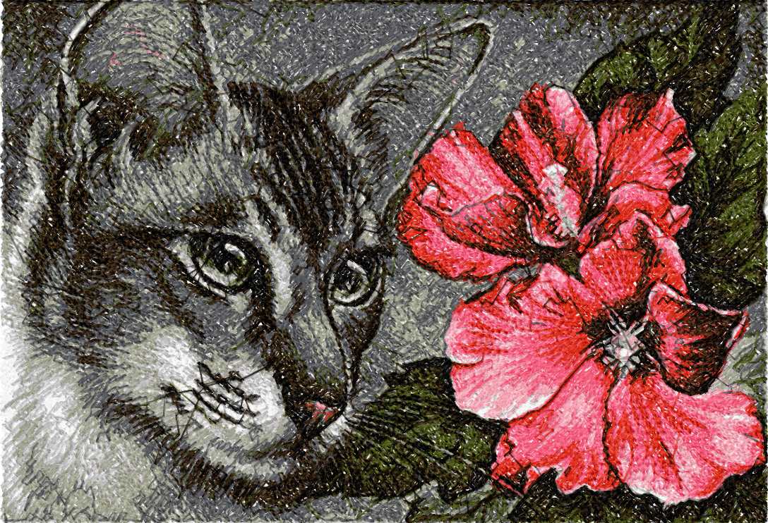 Cat with hibiscus photo stitch free embroidery design