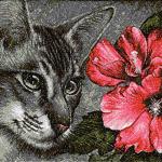 More information about "Cat with hibiscus photo stitch free embroidery design"