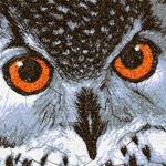 More information about "Owl photo stitch free embroidery design"