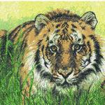 More information about "Tiger photo stitch free embroidery design 15"