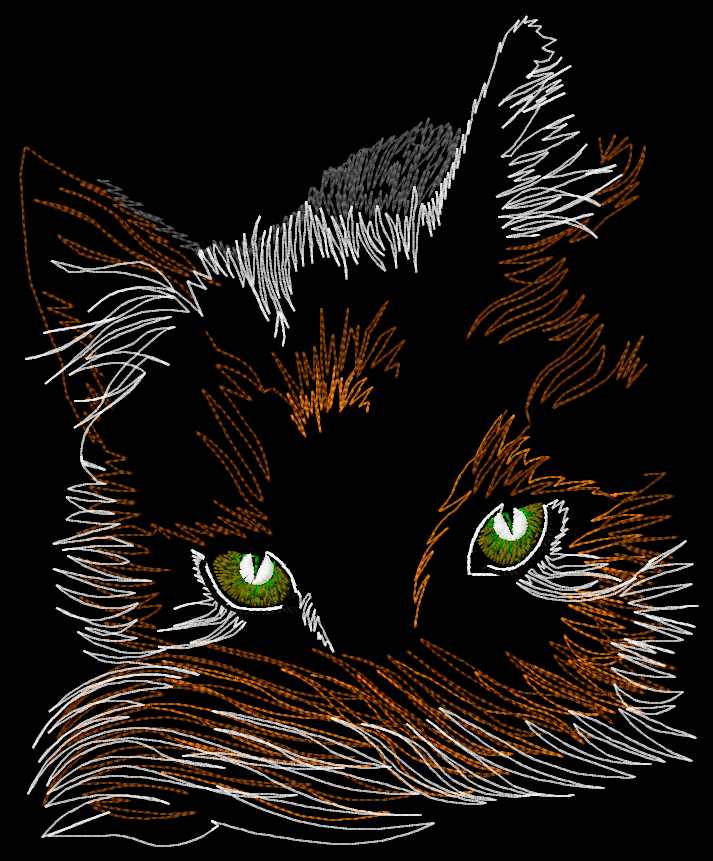 Cat's eyes free embroidery design