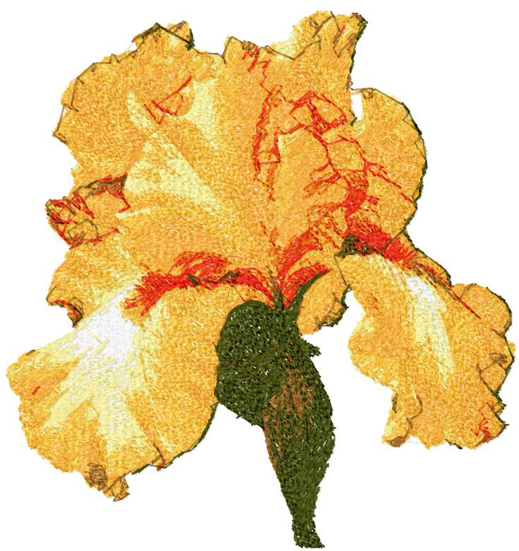 Iris photo stitch free embroidery design