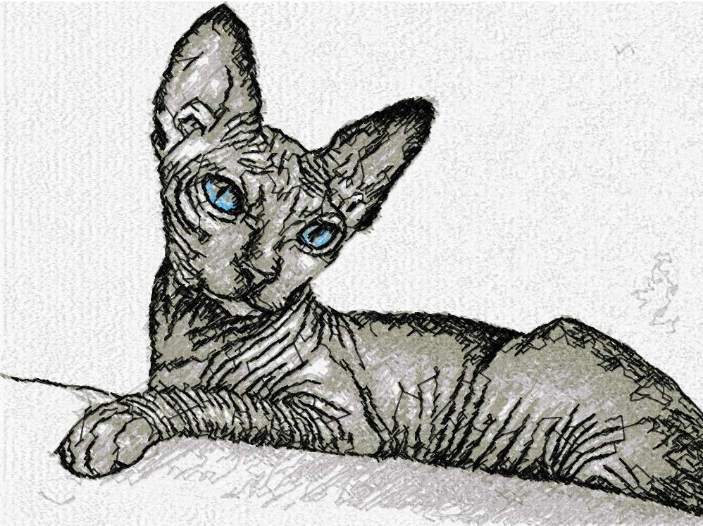 Sphynx Cat photo stitch free embroidery design