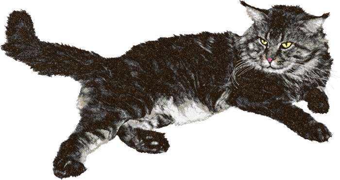 Big grey cat photo stitch free embroidery design