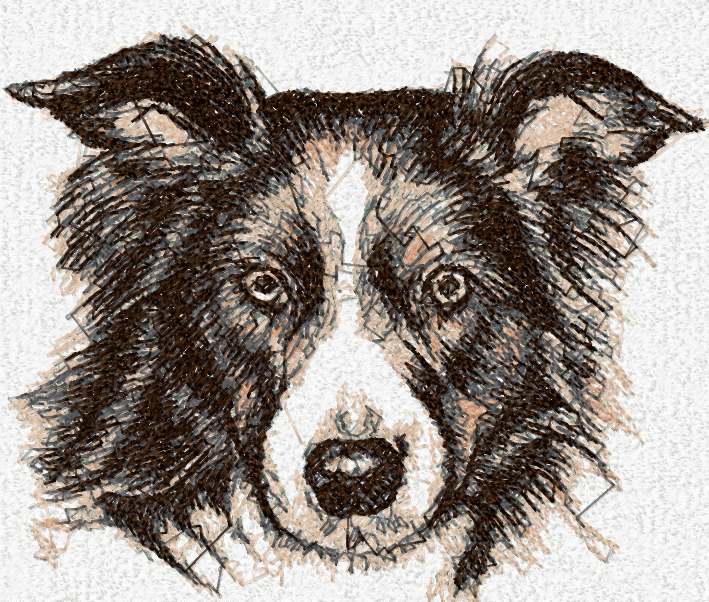 Dog photo stitch free embroidery design 5