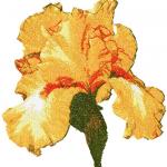 More information about "Iris photo stitch free embroidery design"