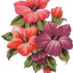 More information about "Hibiscus photo stitch free embroidery design"