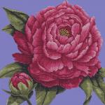 More information about "Big rose cross stitch free embroidery design 8"