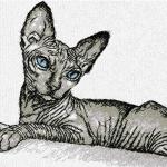More information about "Sphynx Cat photo stitch free embroidery design"
