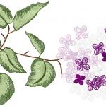 More information about "Lilac free embroidery design"