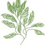 More information about "Green tree free embroidery design"