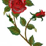 More information about "Rose free embroidery design 22"