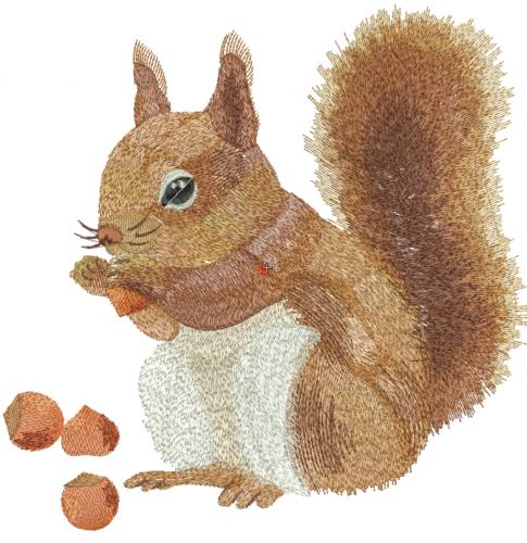 More information about "Squirrel free embroidery design"