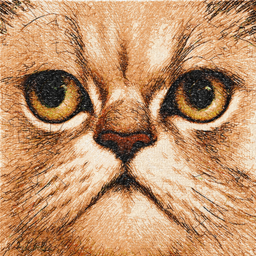 More information about "Persian cat photo stitch free embroidery design"